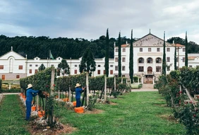 Imagem #7 do Pacote Bento Gonçalves